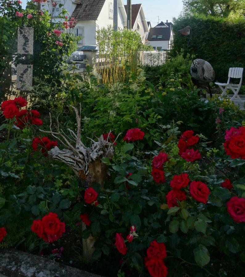 Du Héron Appartement La Wantzenau