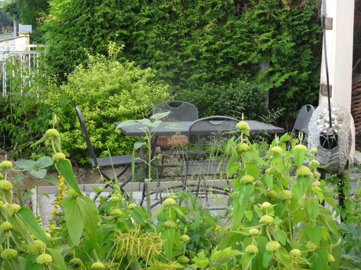 Du Héron Appartement La Wantzenau